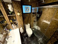 Blk 528 Jelapang Road (Bukit Panjang), HDB Executive #543966711